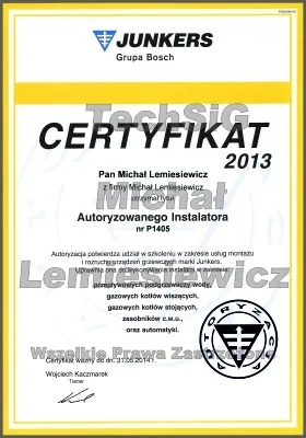 Certyfikat: eJunkers 2013